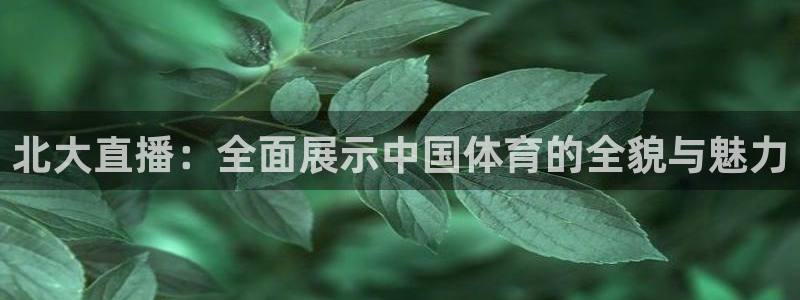 新闻图片